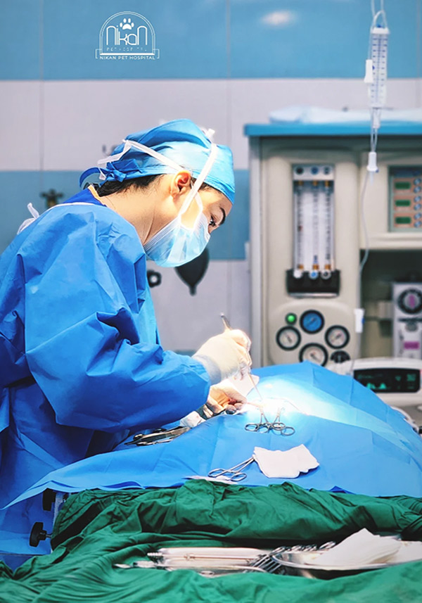 بیمارستان و دامپزشکی نیکان در تهران