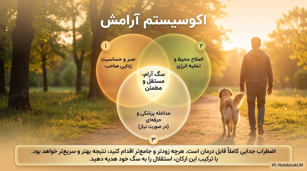 اضطراب جدایی