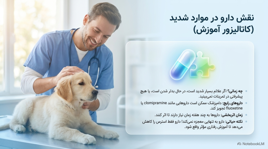 اضطراب جدایی