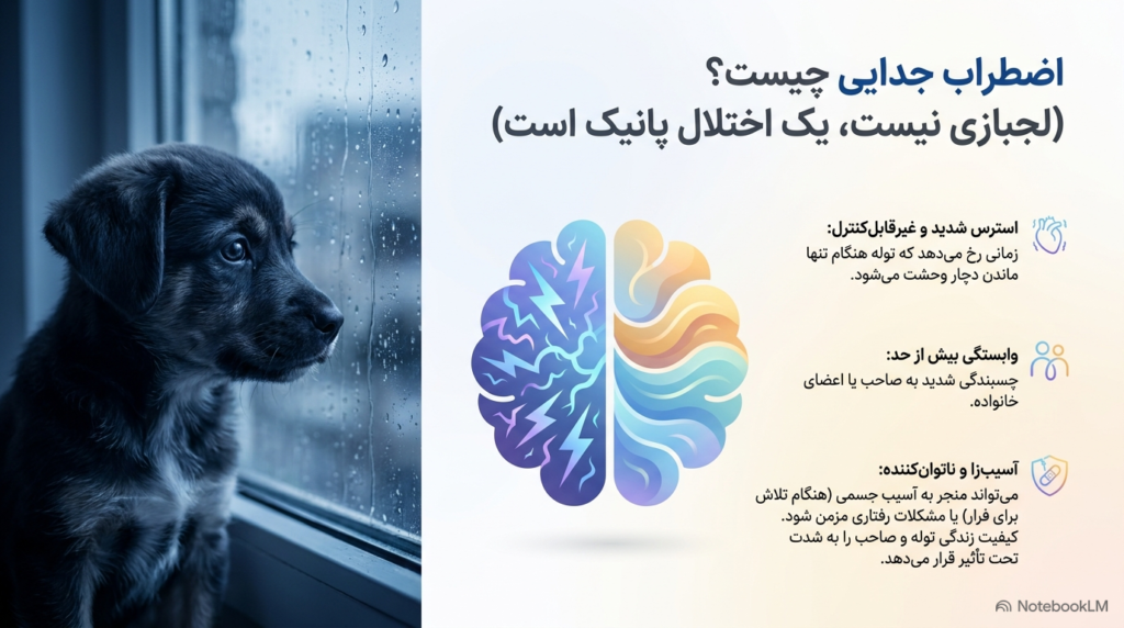 اضطراب جدایی