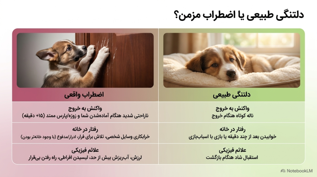 اضطراب جدایی