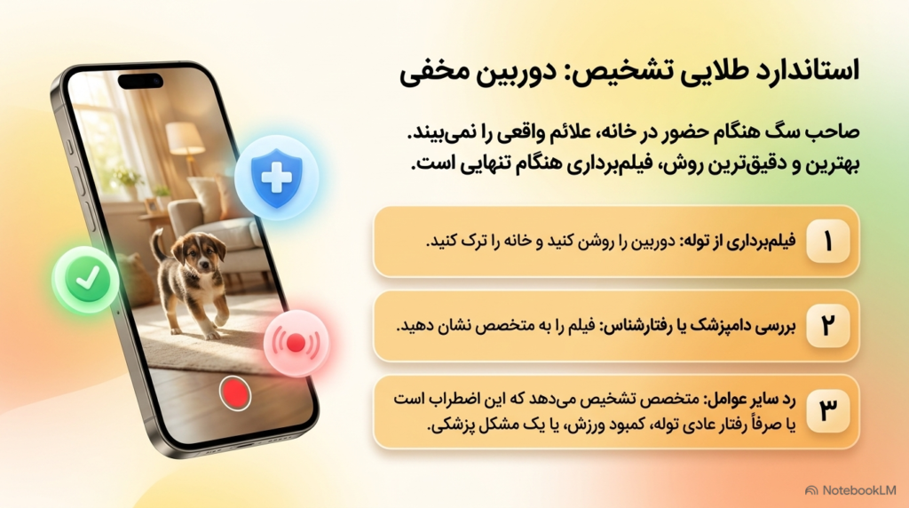 اضطراب جدایی
