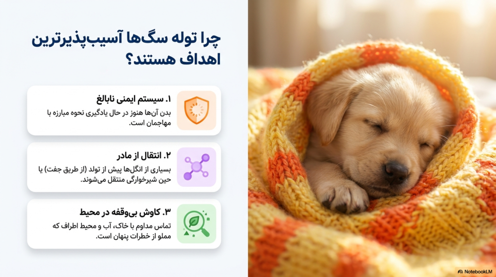 ۱۴ نوع انگل توله سگ که بهتر است بدانید 1 انگل توله سگ