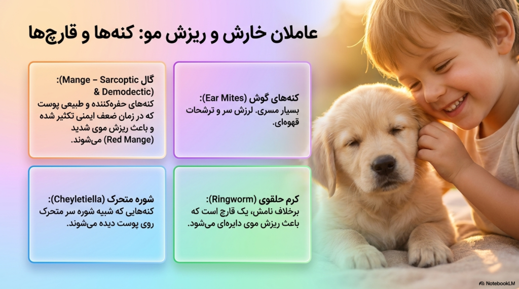 ۱۴ نوع انگل توله سگ که بهتر است بدانید 2 انگل توله سگ