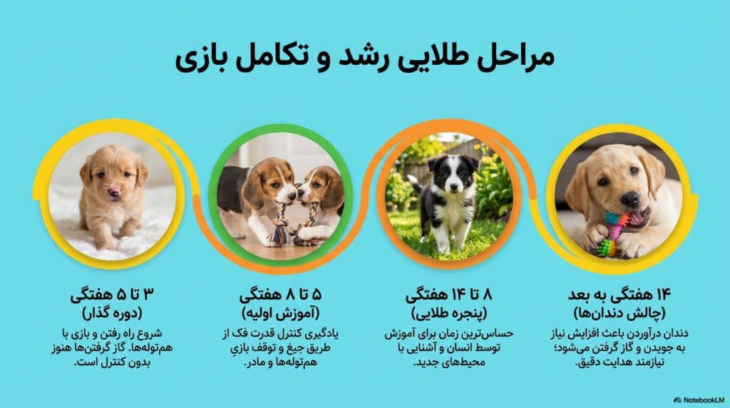بازی توله سگ‌ها