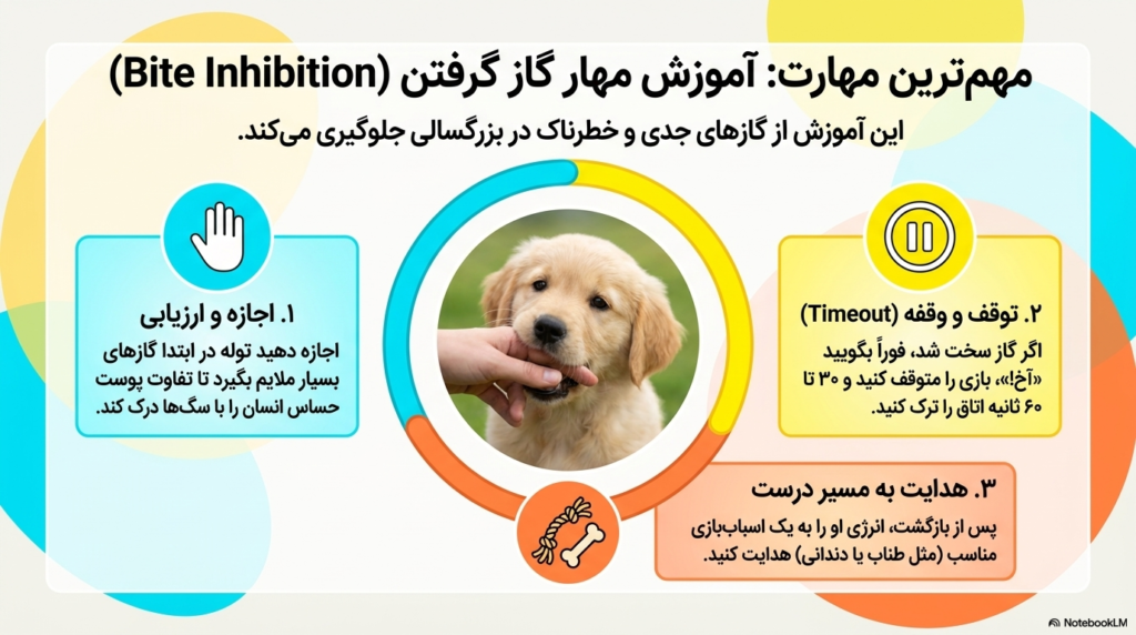 بازی توله سگ‌ها