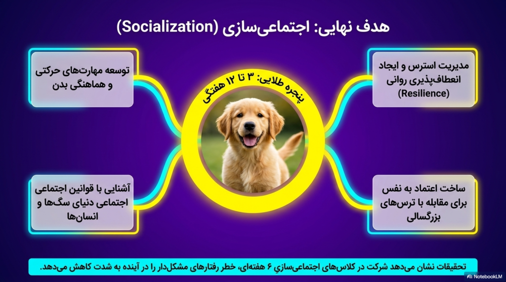 بازی توله سگ‌ها