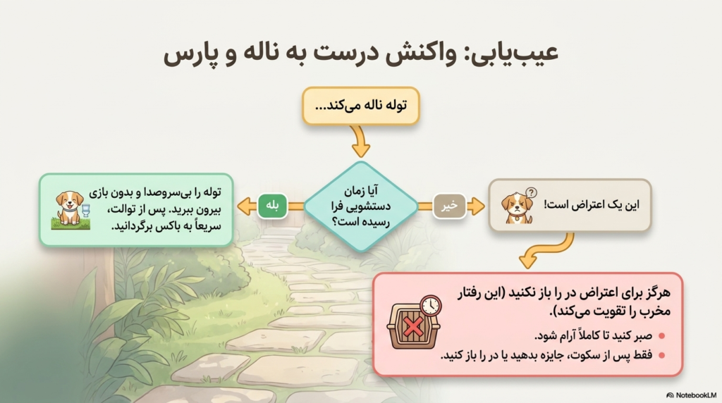 آموزش استفاده از باکس به توله سگ 3 باکس برای توله سگ