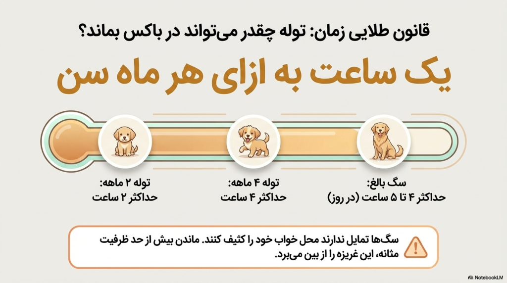آموزش استفاده از باکس به توله سگ 4 باکس برای توله سگ