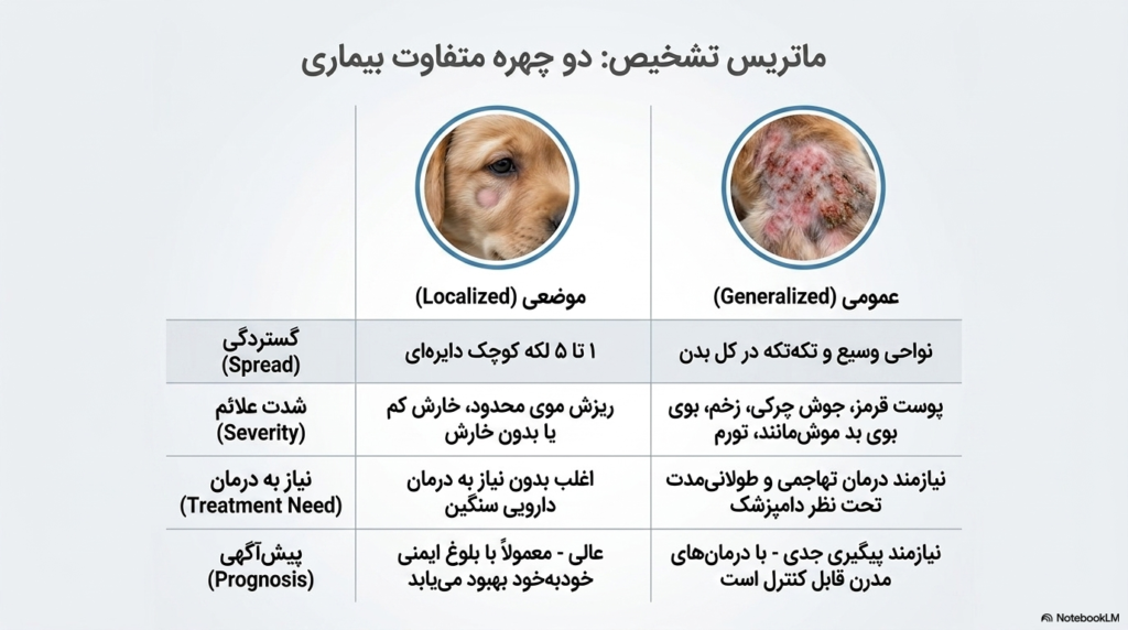 بیماری پوستی دمودکتیک در توله سگ 3 دمودکتیک در توله سگ