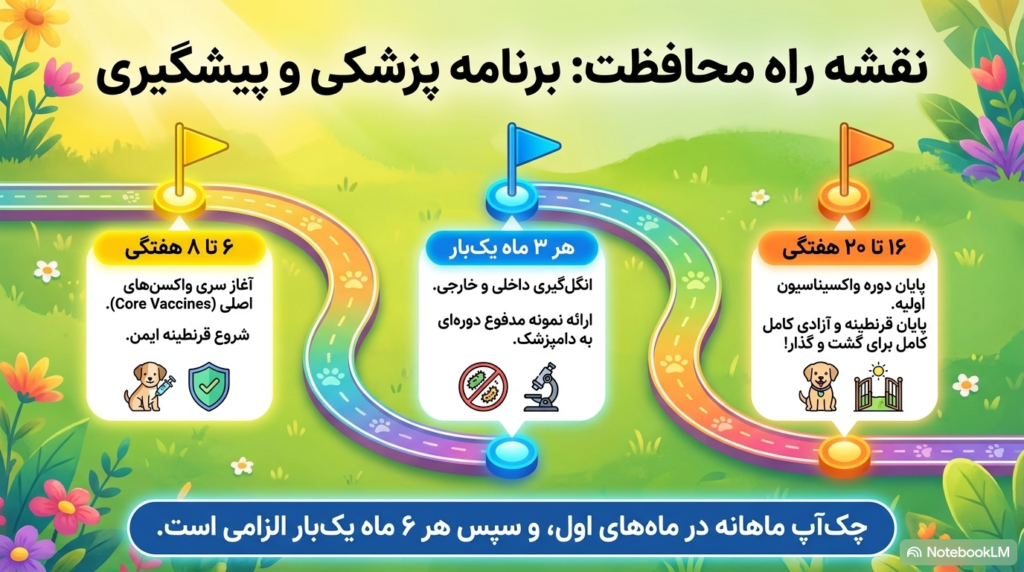 تقویت سیستم ایمنی