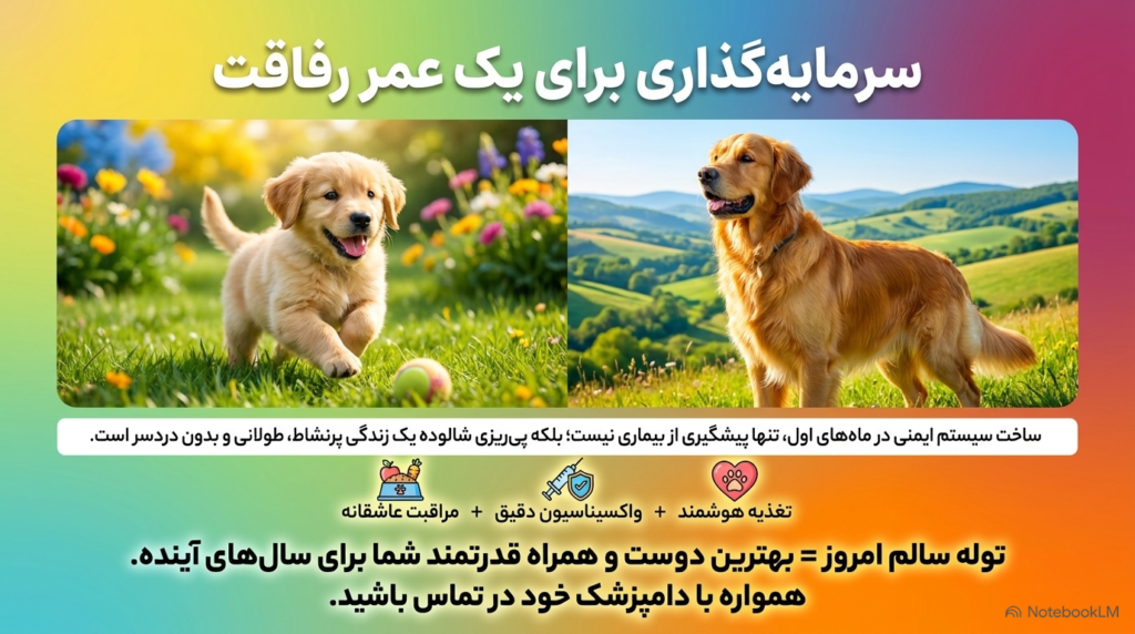 تقویت سیستم ایمنی
