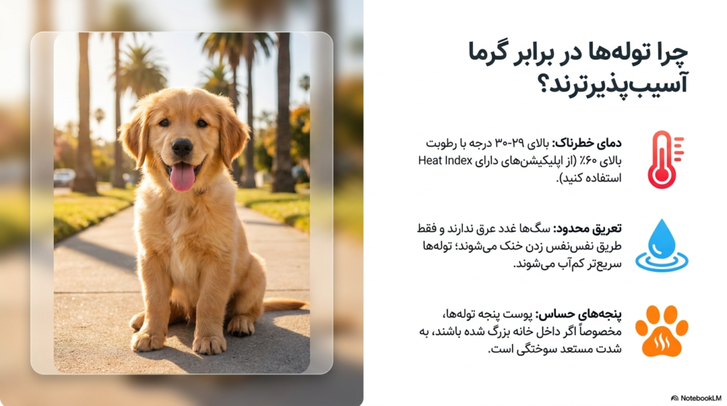 پیاده روی توله سگ در هوای گرم تابستان 1 گرمازدگی در سگ ها