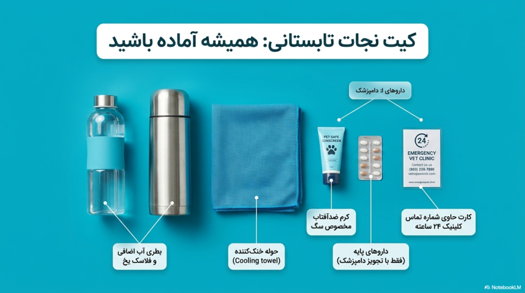 پیاده روی توله سگ در هوای گرم تابستان 5 پیاده روی توله سگ در هوای گرم تابستان