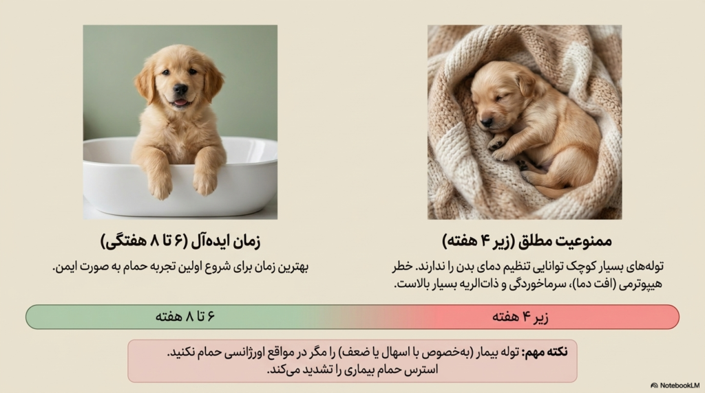 راه های حمام و مرتب کردن توله سگ 1 حمام کردن توله