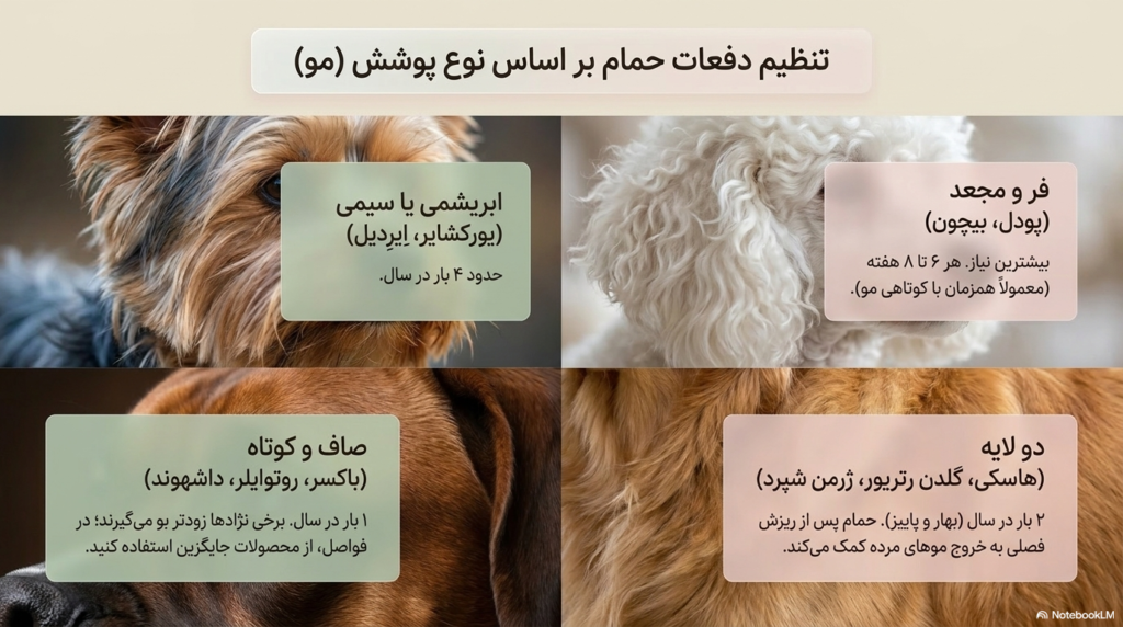 راه های حمام و مرتب کردن توله سگ 2 حمام کردن توله