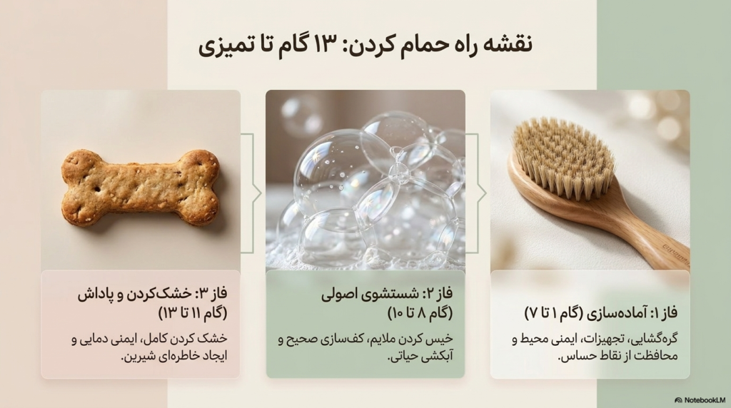 راه های حمام و مرتب کردن توله سگ 3 حمام کردن توله