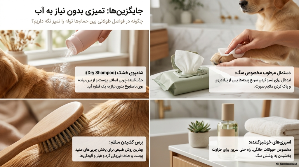 راه های حمام و مرتب کردن توله سگ 4 حمام کردن توله