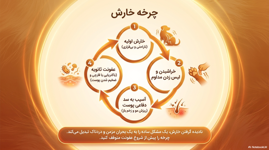 خارش توله سگ