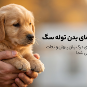 اندازه‌گیری دمای بدن توله سگ