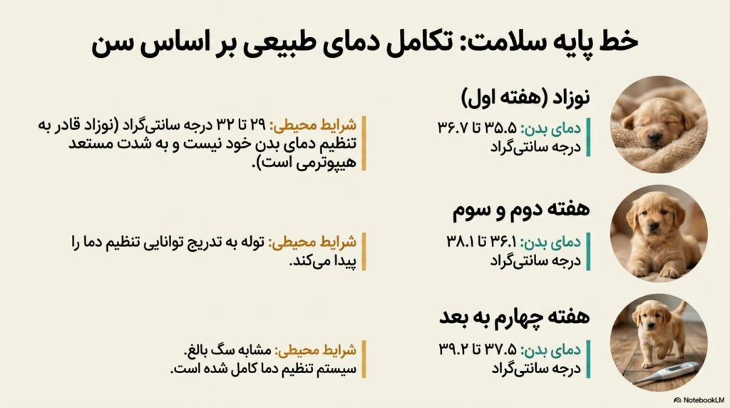 اندازهگیری دمای بدن توله سگ 1 دمای بدن توله