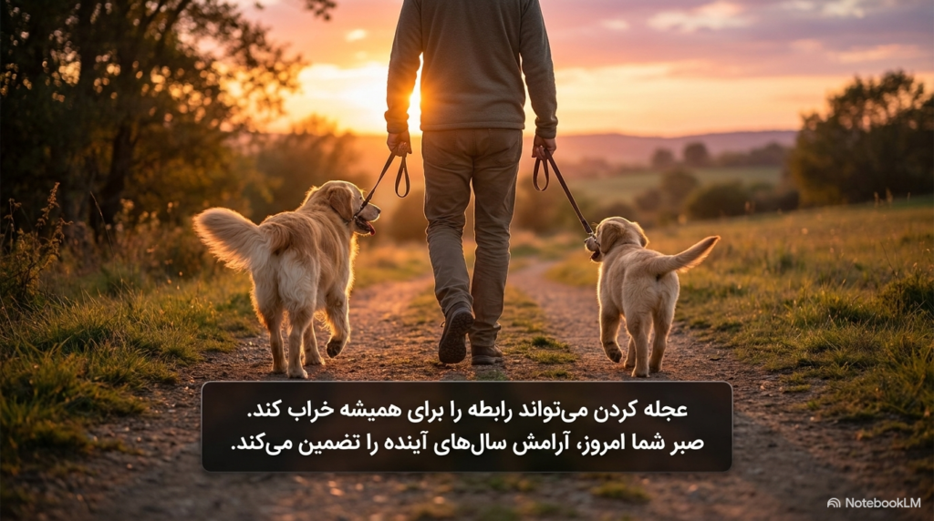 آموزش سگ بالغ برای پذیرش توله جدید 4 آموزش سگ بالغ