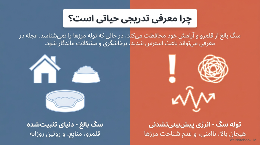 آموزش سگ بالغ برای پذیرش توله جدید 1 آموزش سگ بالغ