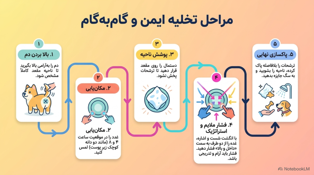 نحوه تخلیه غدد مقعدی توله سگ 3 غدد مقعدی