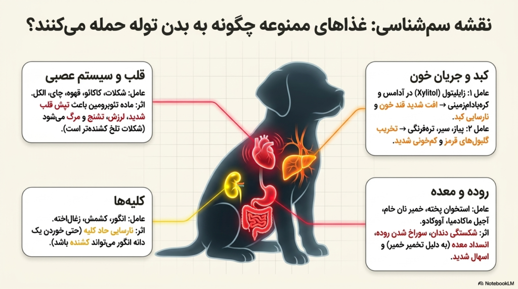 غذای توله سگ