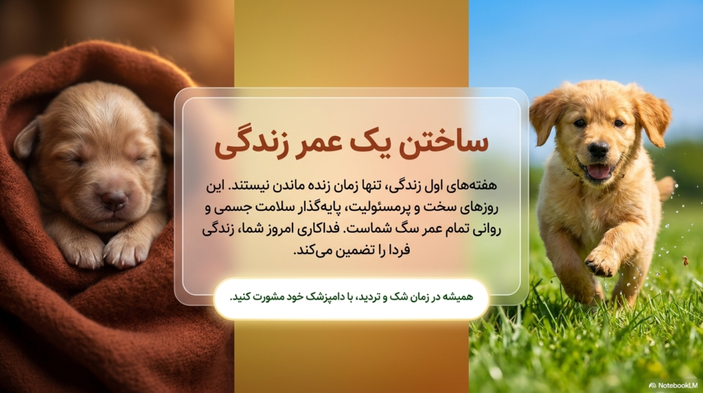اصول مراقبت از توله سگ تازه متولد شده 4 توله سگ نوزاد