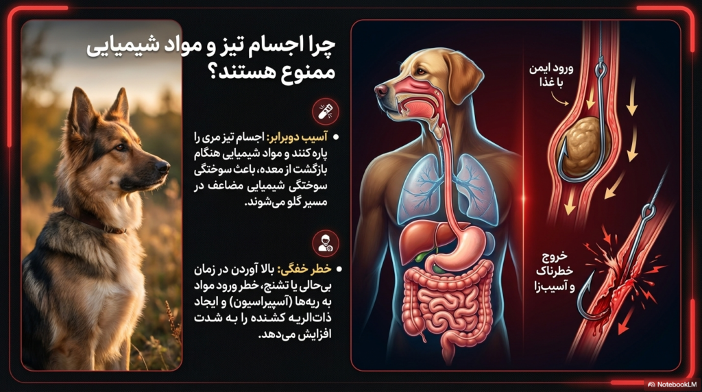 چگونه سگ را وادار کنیم بالا بیاورد؟ 2 وادار کردن سگ به بالا آوردن