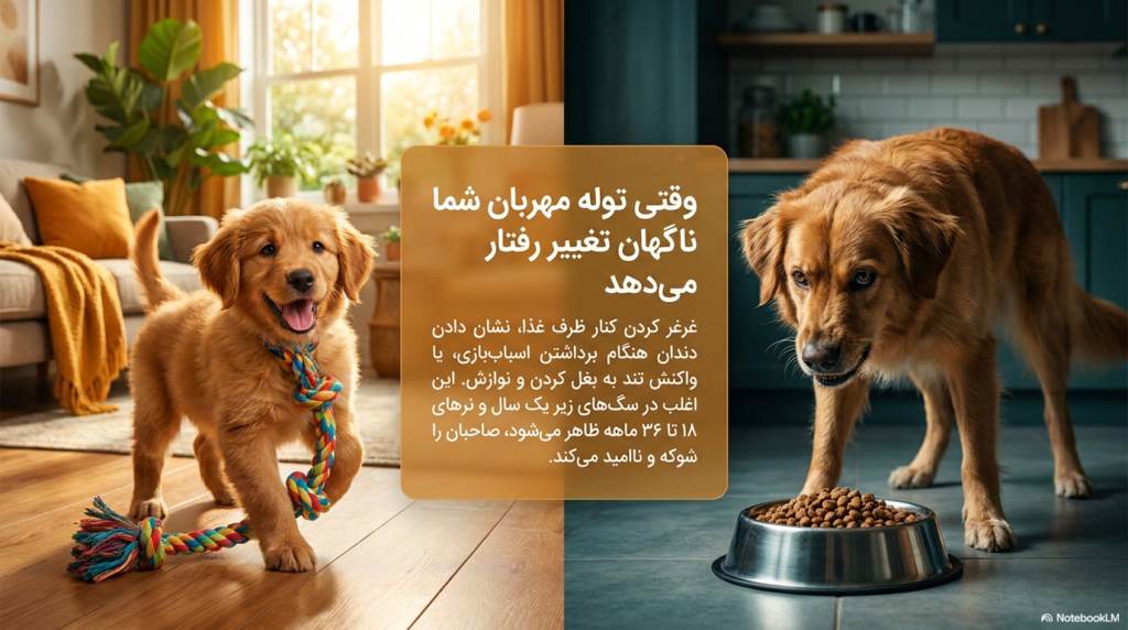 پرخاشگری تعارضی در توله سگ 1 پرخاشگری تعارضی