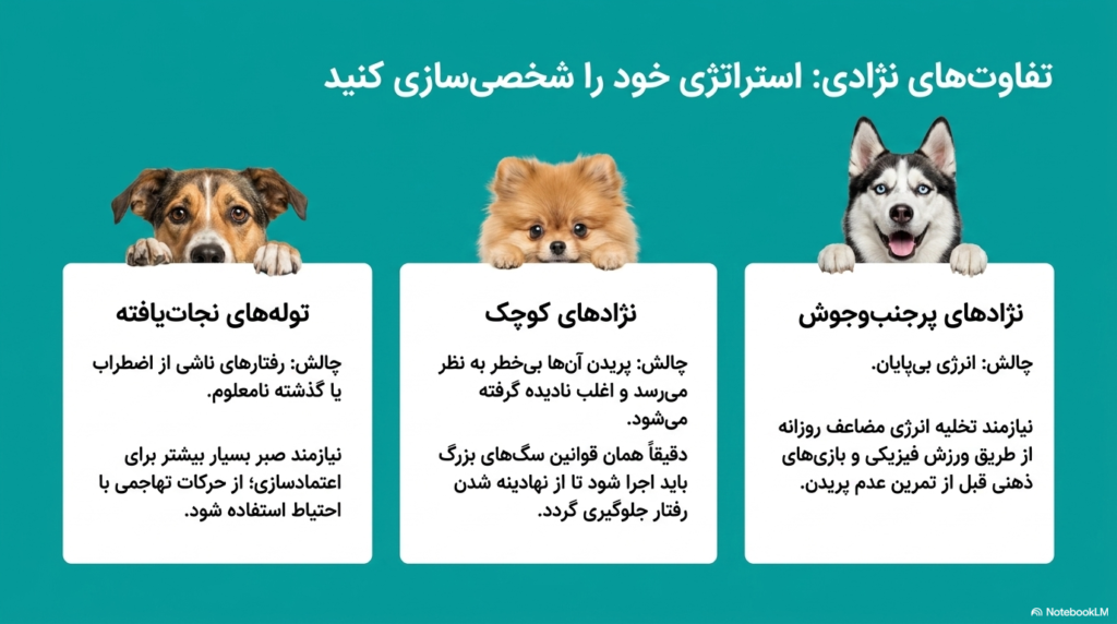 جلوگیری از پریدن سگ