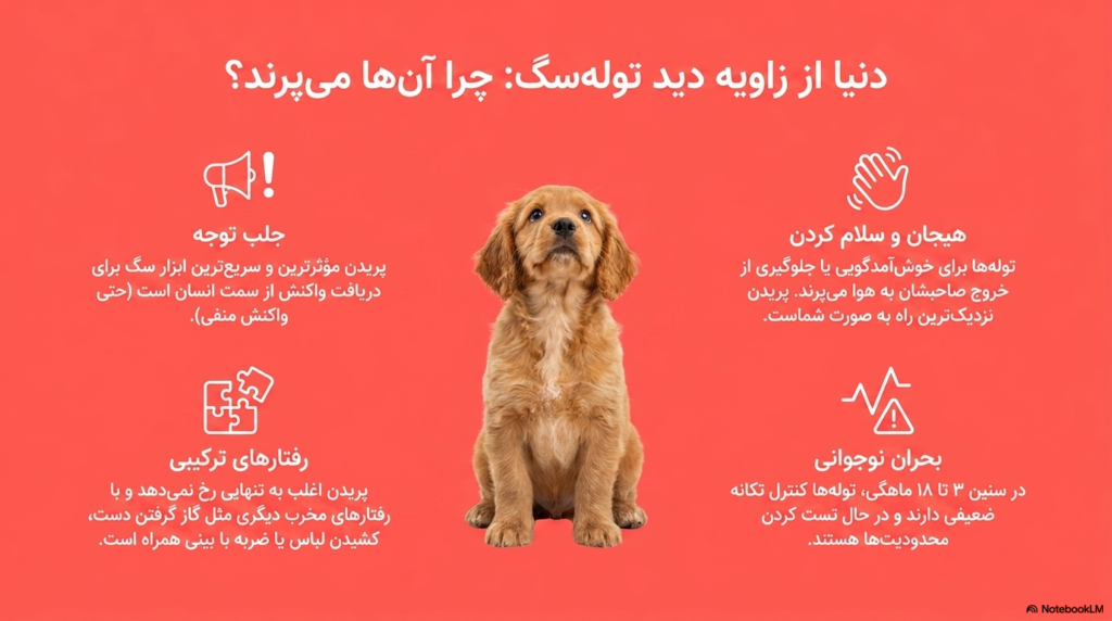 جلوگیری از پریدن سگ