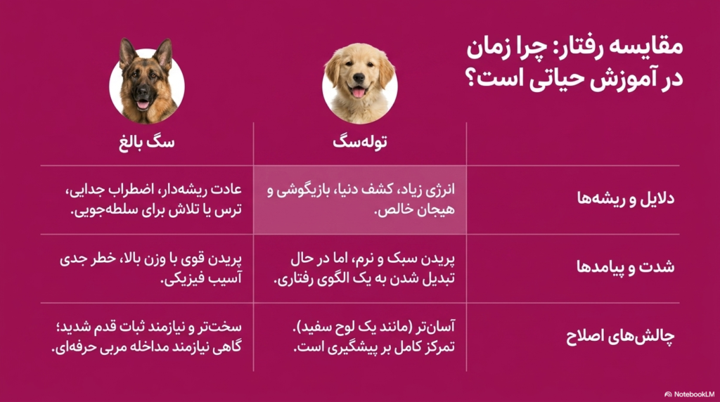 جلوگیری از پریدن سگ