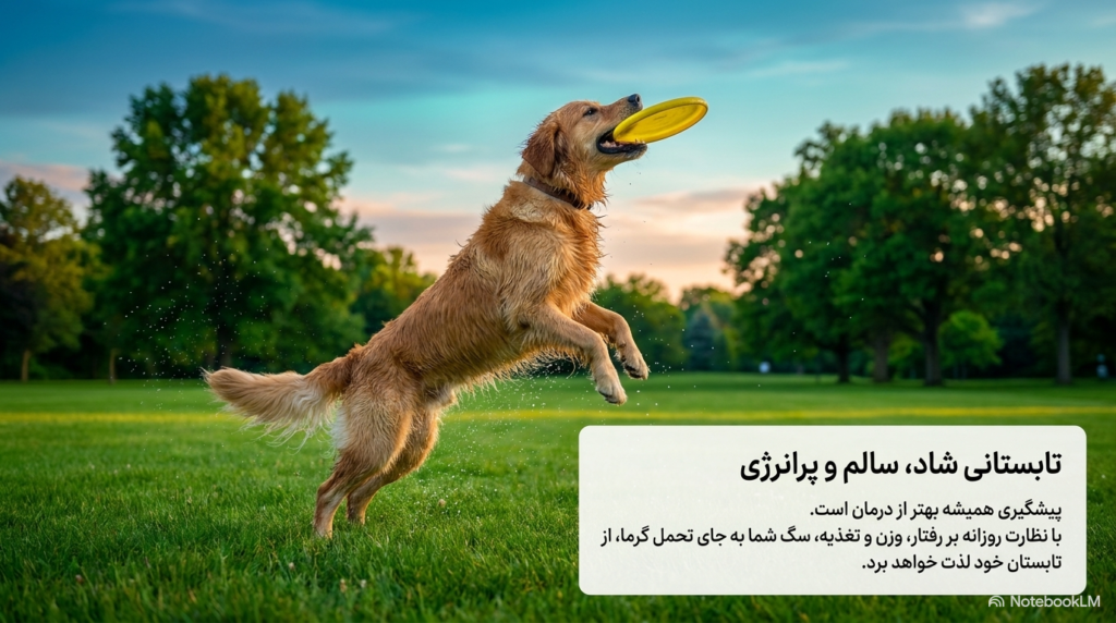 خنک نگه داشتن سگ و توله سگ در تابستان 5 جلوگیری از گرمازدگی سگ ها