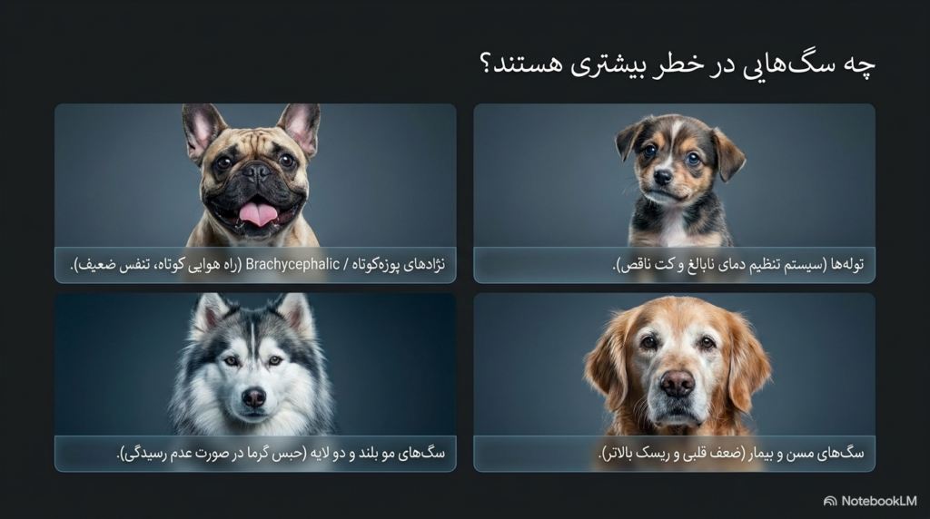 خنک نگه داشتن سگ و توله سگ در تابستان 4 جلوگیری از گرمازدگی سگ ها