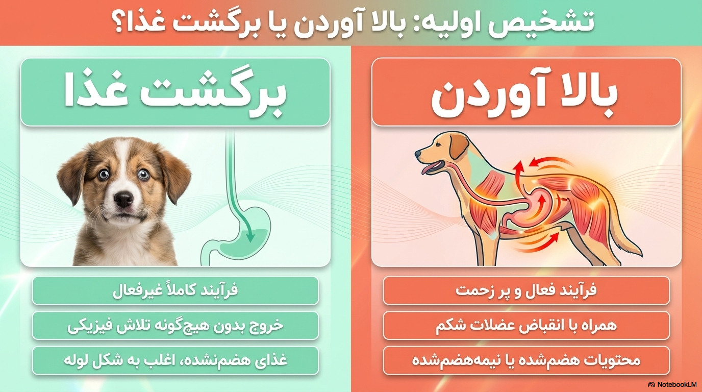بالا آوردن توله
