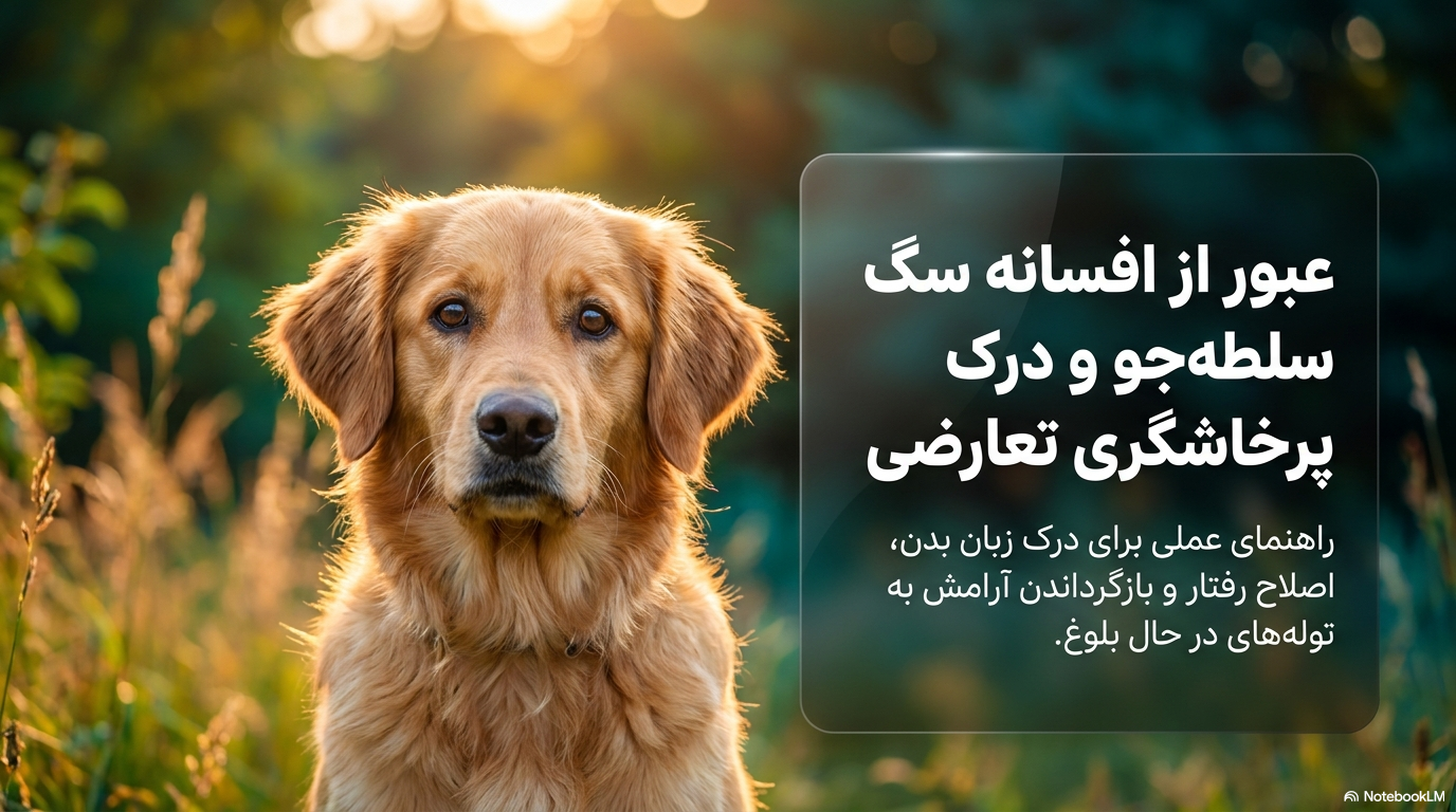 پرخاشگری تعارضی