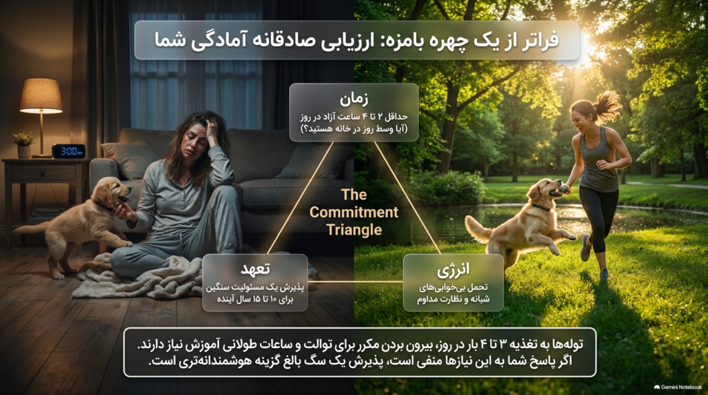 قبل از ورود توله سگ