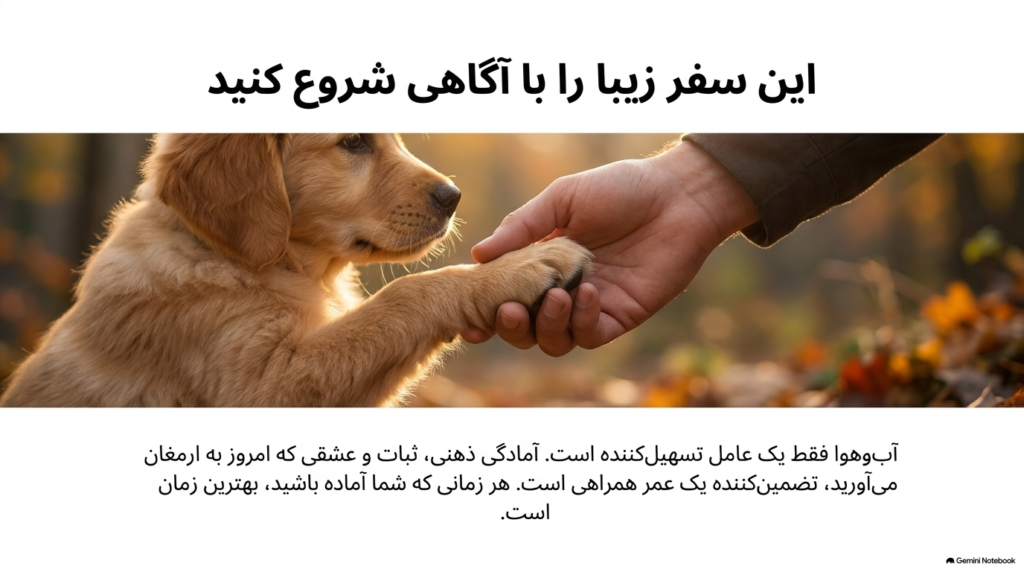 بهترین فصل سال