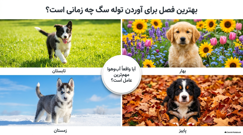 بهترین فصل سال