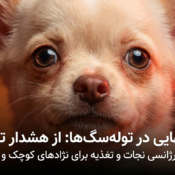 بی اشتهایی در توله سگ ها