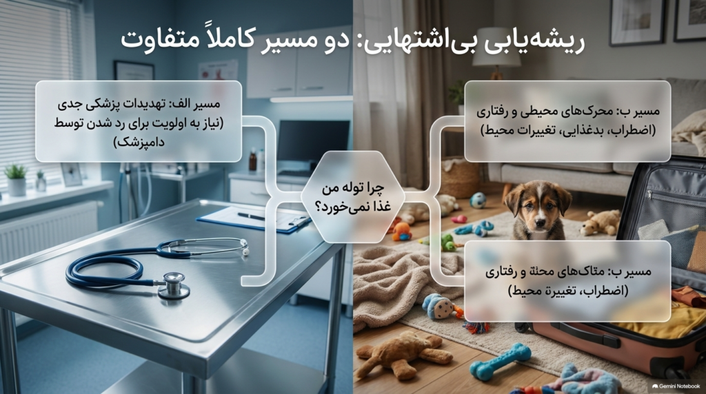بی اشتهایی در توله سگ ها 1 بی اشتهایی توله سگ