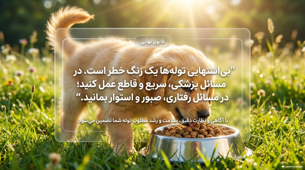 بی اشتهایی در توله سگ ها 4 بی اشتهایی توله سگ