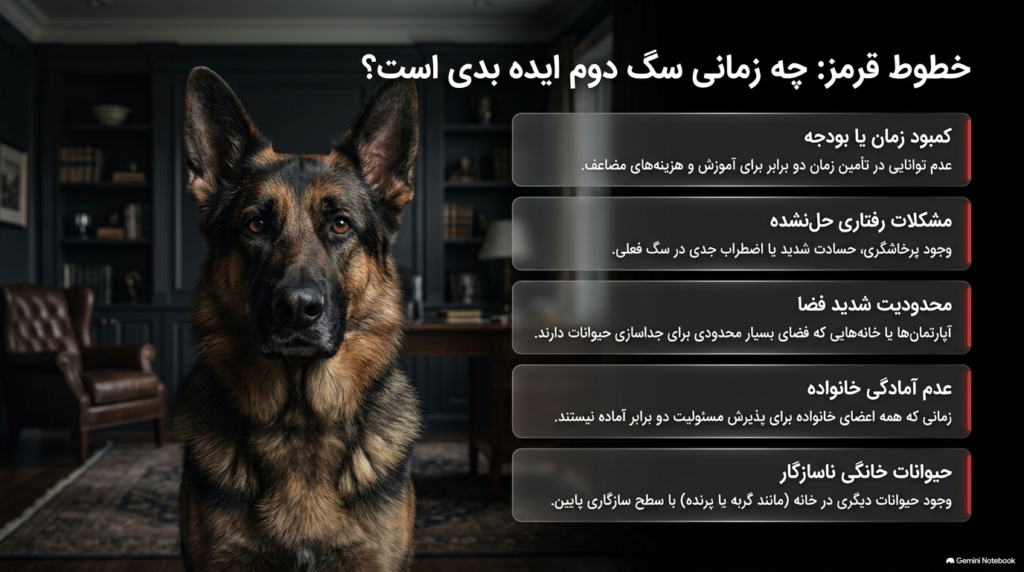 دلایل قانعکننده اینکه داشتن دو سگ بهتر از یکی است 3 داشتن دو سگ