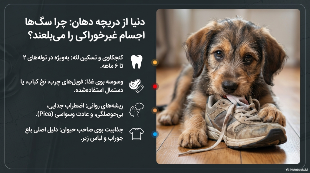 غذاهایی که به دفع جسم خارجی در سگها کمک میکنند 1 دفع جسم خارجی