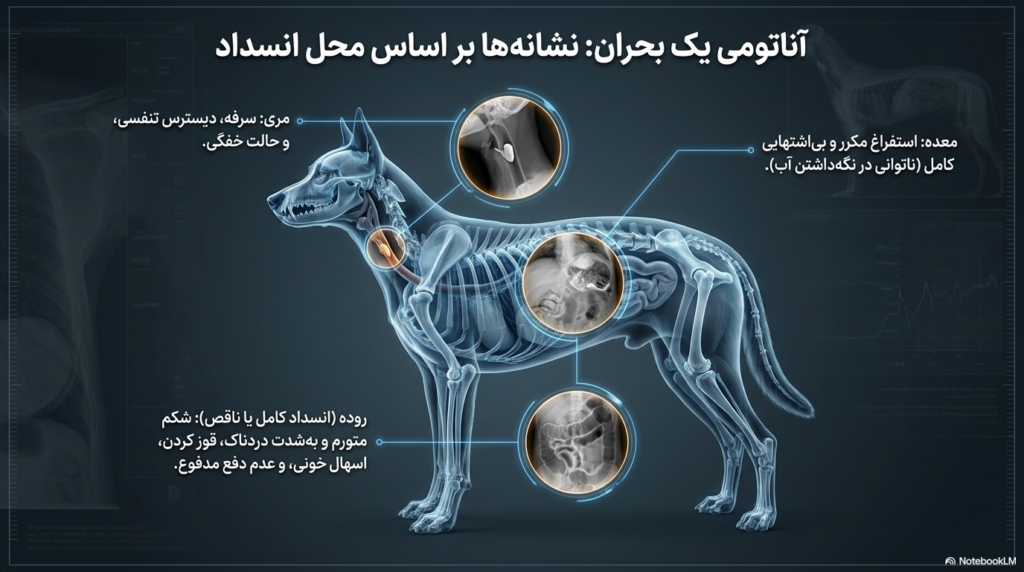 غذاهایی که به دفع جسم خارجی در سگها کمک میکنند 2 دفع جسم خارجی