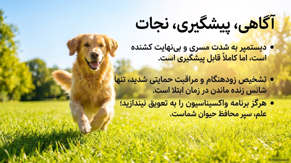 بیماری دیستمپر در سگها و توله سگها 7 بیماری دیستمپر