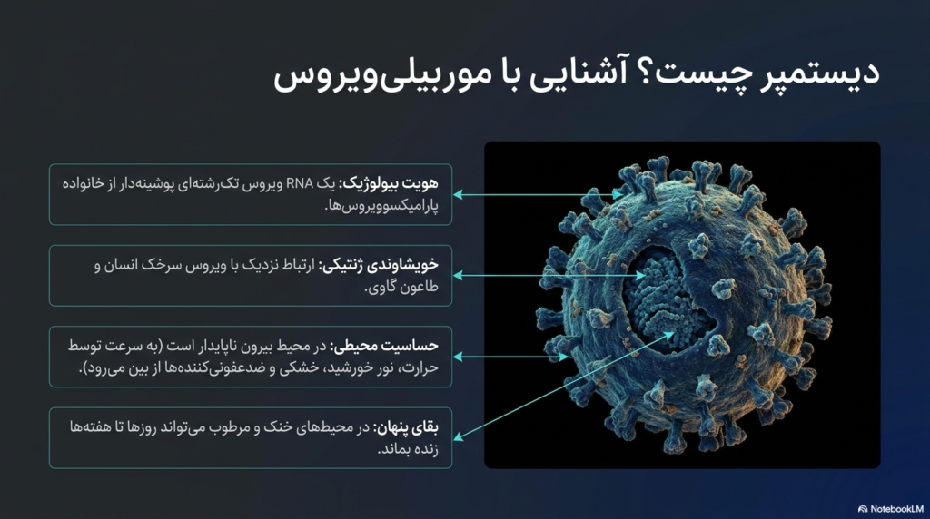 بیماری دیستمپر در سگها و توله سگها 1 بیماری دیستمپر